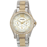 Fossil Women's ES3204 Riley Silver and Gold Tone Watch